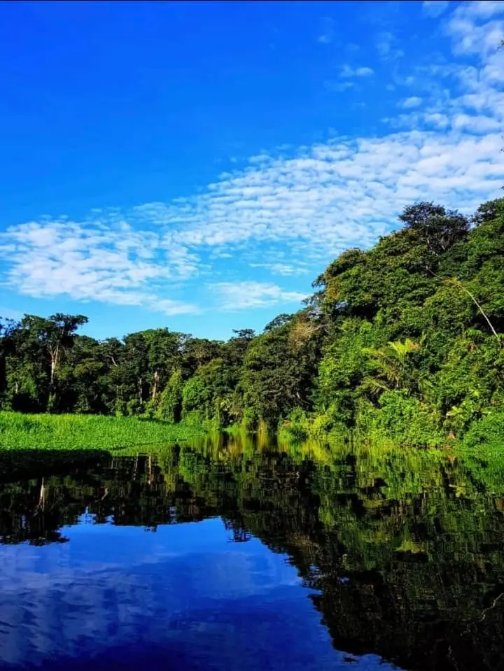 Canal navegable reflejando el cielo entre la vegetación tropical de Tortuguero